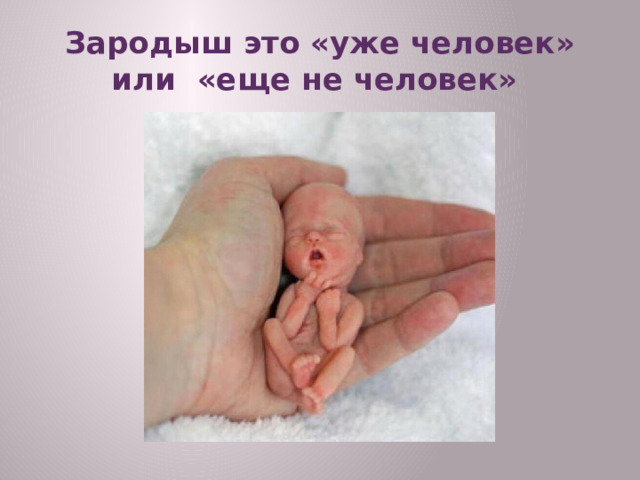 Зародыш это «уже человек» или «еще не человек» 