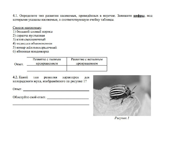 Определите тип развития насекомых впр