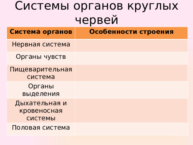 Системы органов круглых червей Система органов Особенности строения Нервная система Органы чувств Пищеварительная система Органы выделения Дыхательная и кровеносная системы Половая система 