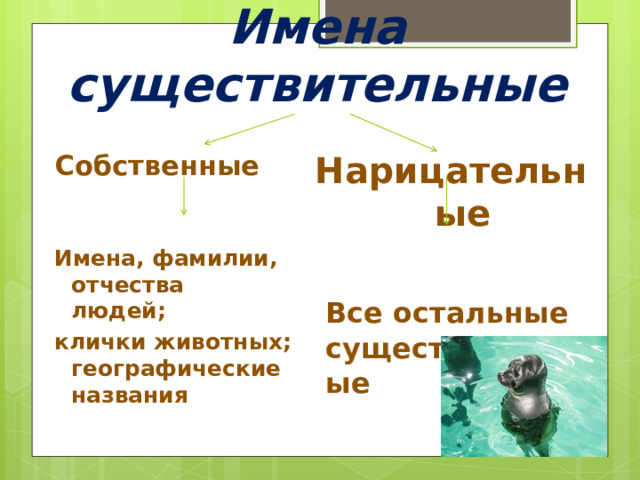 Имена существительные Собственные  Нарицательные   Имена, фамилии, отчества людей;  Все остальные существительные клички животных; географические названия  