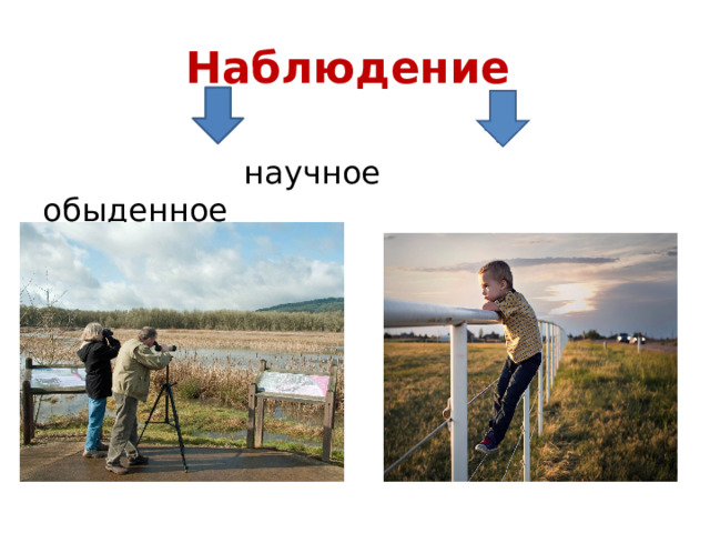 Наблюдение  научное обыденное 