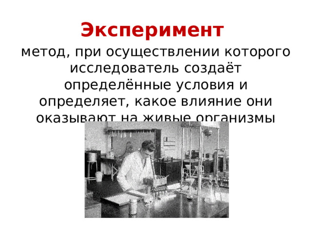 Эксперимент метод, при осуществлении которого исследователь создаёт определённые условия и определяет, какое влияние они оказывают на живые организмы 