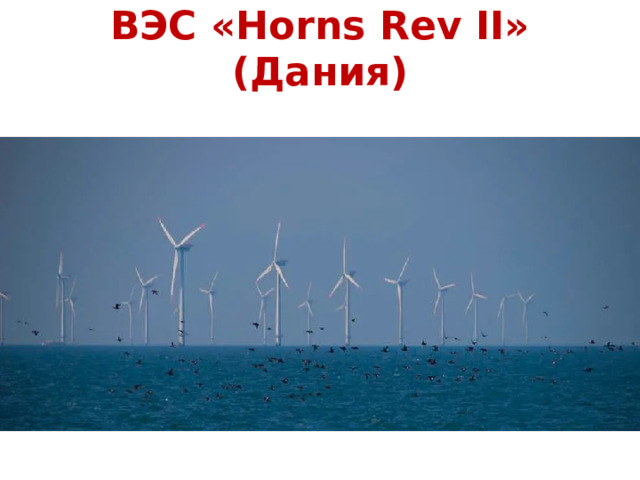 ВЭС «Horns Rev II» (Дания) 