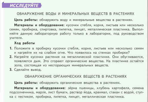 Обнаружение органических и неорганических веществ в растении. Фото опыта обнаружения органических и Минеральных веществ в семени.