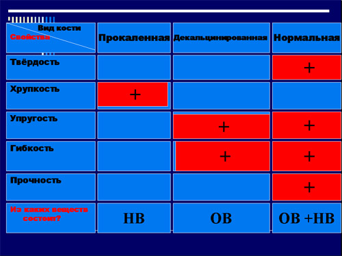 Практическая исследование свойств кости