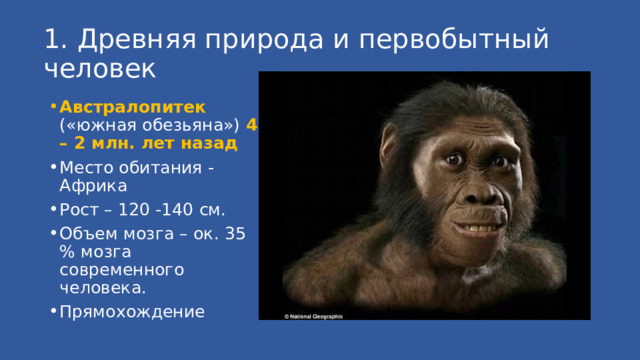 1. Древняя природа и первобытный человек Австралопитек («южная обезьяна») 4 – 2 млн. лет назад Место обитания - Африка Рост – 120 -140 см. Объем мозга – ок. 35 % мозга современного человека. Прямохождение 