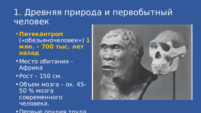 1. Древняя природа и первобытный человек Питекантроп («обезьяночеловек») 1 млн. – 700 тыс. лет назад Место обитания - Африка Рост – 150 см. Объем мозга – ок. 45-50 % мозга современного человека. Первые орудия труда 