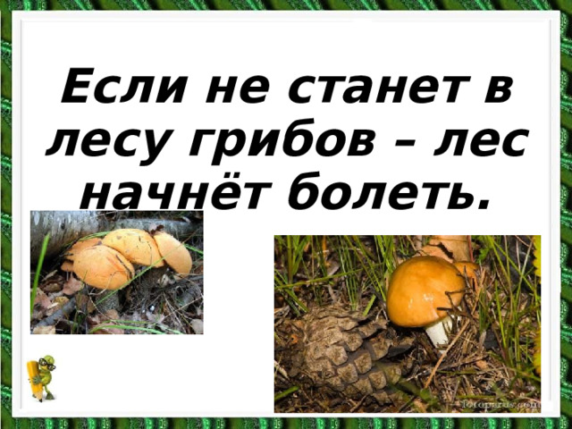 Если не станет в лесу грибов – лес начнёт болеть. 