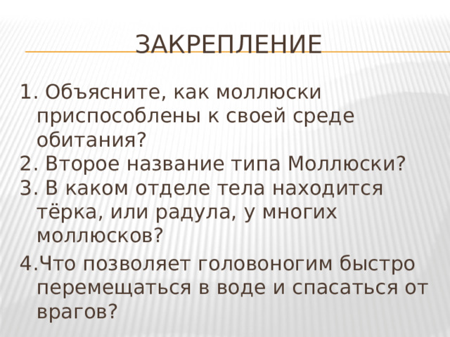 Закрепление 1. Объясните, как моллюски приспособлены к своей среде обитания? 2. Второе название типа Моллюски? 3. В каком отделе тела находится тёрка, или радула, у многих моллюсков? 4.Что позволяет головоногим быстро перемещаться в воде и спасаться от врагов? 