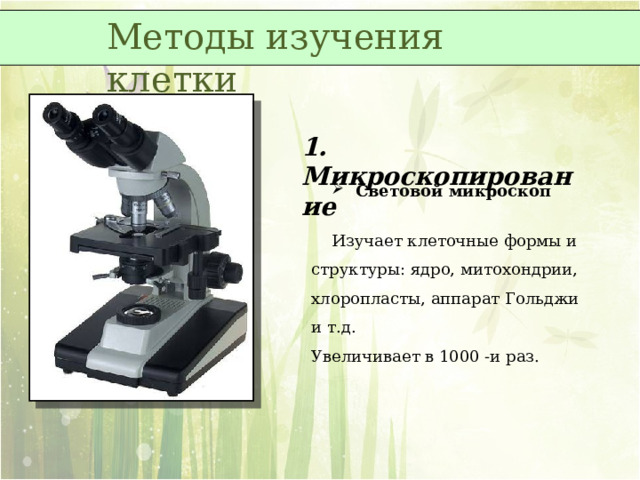 Методы изучения клетки 1. Микроскопирование  Световой микроскоп  Изучает клеточные формы и структуры: ядро, митохондрии, хлоропласты, аппарат Гольджи и т.д. Увеличивает в 1000 -и раз. 