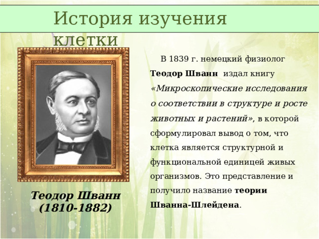 История изучения клетки  В 1839 г. немецкий физиолог Теодор Шванн издал книгу « Микроскопические исследования о соответствии в структуре и росте животных и растений » , в которой сформулировал вывод о том, что клетка является структурной и функциональной единицей живых организмов. Это представление и получило название теории Шванна-Шлейдена . Теодор Шванн (1810-1882) 