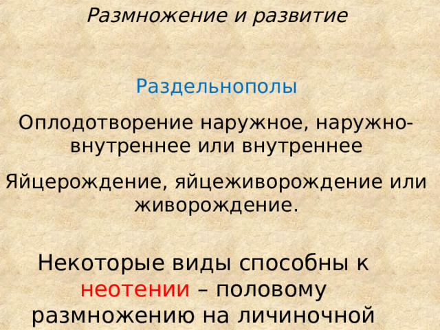 Размножение и развитие Раздельнополы Оплодотворение наружное, наружно-внутреннее или внутреннее Яйцерождение, яйцеживорождение или живорождение. Некоторые виды способны к неотении – половому размножению на личиночной стадии  