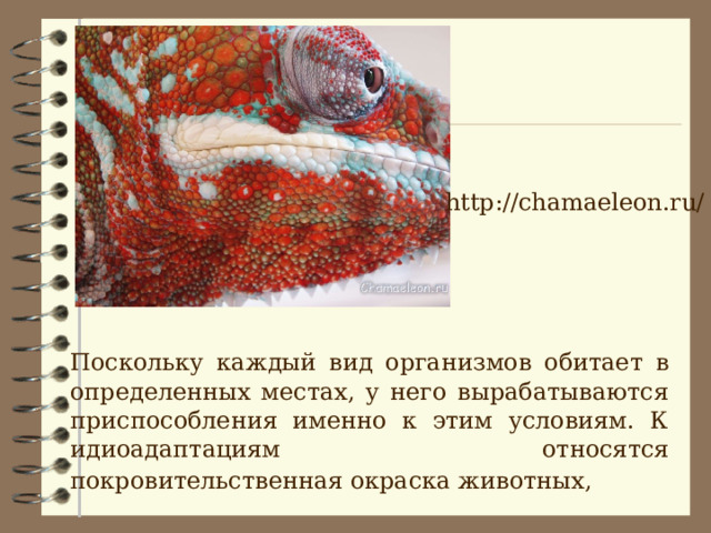 http://chamaeleon.ru/  Поскольку каждый вид организмов обитает в определенных местах, у него вырабатываются приспособления именно к этим условиям. К идиоадаптациям относятся покровительственная окраска животных,  