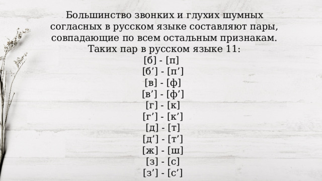 Большинство звонких и глухих шумных согласных в русском языке составляют пары, совпадающие по всем остальным признакам. Таких пар в русском языке 11: [б] - [п] [б’] - [п’] [в] - [ф] [в’] - [ф’] [г] - [к] [г’] - [к’] [д] - [т] [д’] - [т’] [ж] - [ш] [з] - [с] [з’] - [с’] 