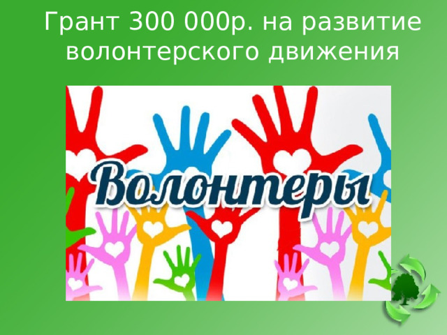 Грант 300 000р. на развитие волонтерского движения 