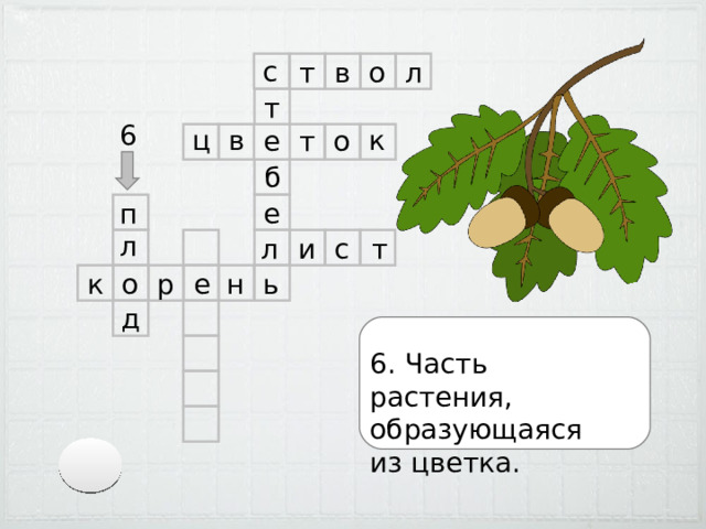 с в л т о т 6 в ц к т е о б п е л л с и т н е р о к ь д 6. Часть растения, образующаяся из цветка. 