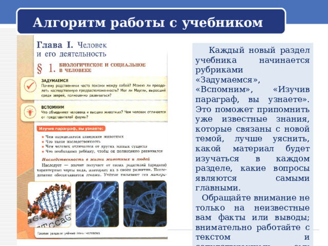 Алгоритм работы с учебником  Каждый новый раздел учебника начинается рубриками «Задумаемся», «Вспомним», «Изучив параграф, вы узнаете». Это поможет припомнить уже известные знания, которые связаны с новой темой, лучше уяснить, какой материал будет изучаться в каждом разделе, какие вопросы являются самыми главными.  Обращайте внимание не только на неизвестные вам факты или выводы; внимательно работайте с текстом и сопутствующими ему компонентами (вопросы, задания, рубрики). 