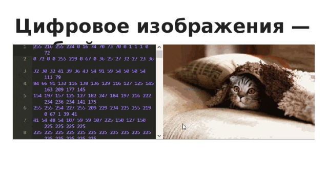 Цифровое изображения — особый код 