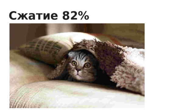 Сжатие 82% 