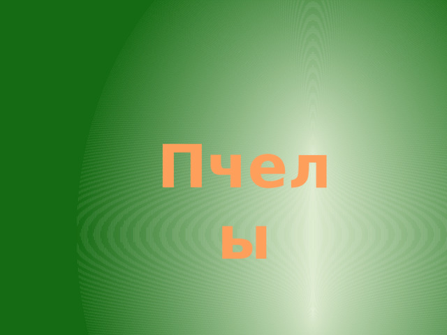 Пчелы 