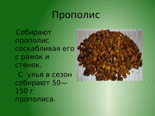 Прополис  Собирают прополис соскабливая его с рамок и стенок.  С улья в сезон собирают 50—150 г прополиса. 