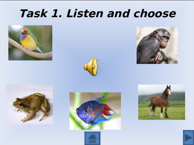 Task 1. Listen and choose 