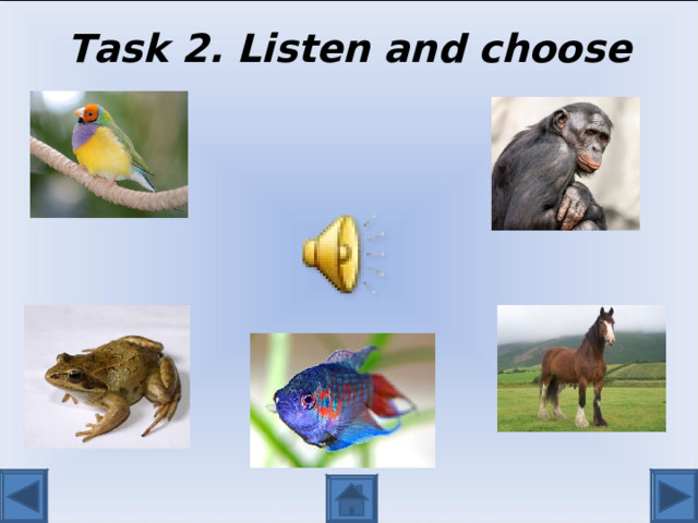 Task 2. Listen and choose 