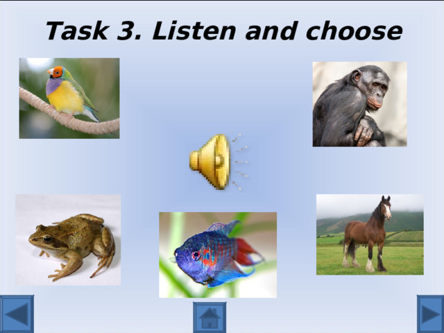 Task 3. Listen and choose 