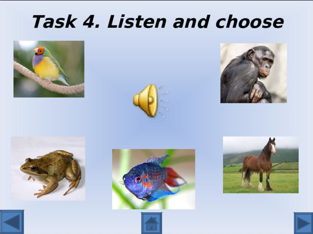 Task 4. Listen and choose 