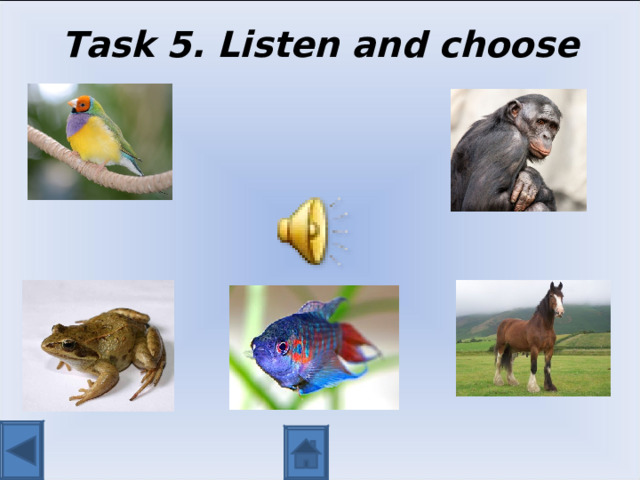 Task 5. Listen and choose 