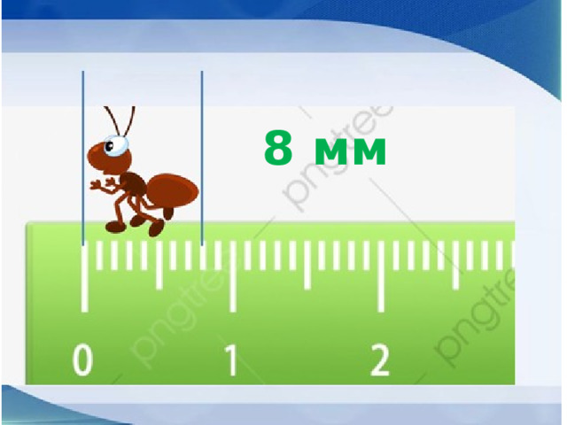 8 мм 