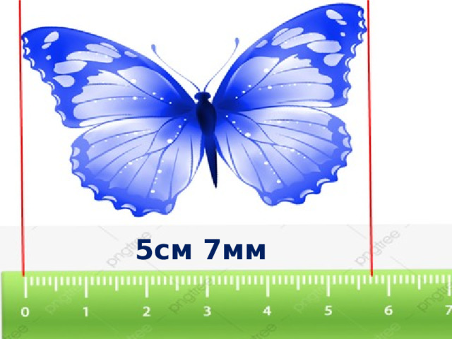 5см 7мм 