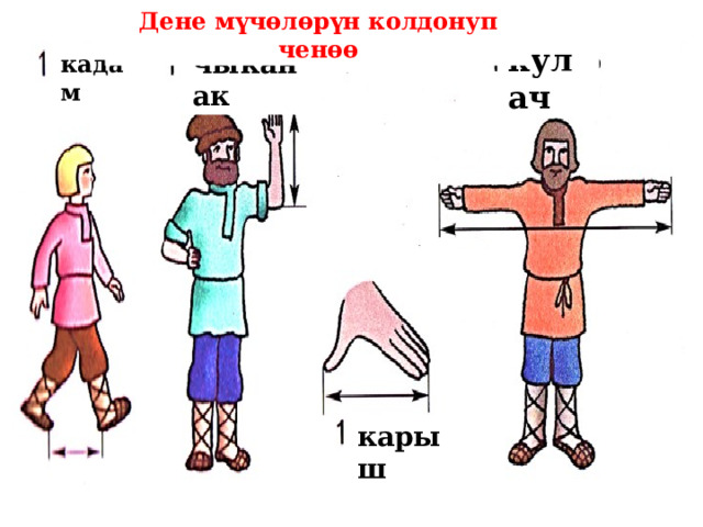Дене мүчөлөрүн колдонуп ченөө кулач чыканак кадам карыш 