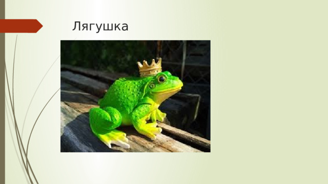 Лягушка 