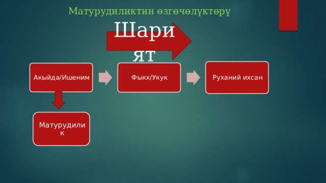 Матурудиликтин өзгөчөлүктөрү Шарият Руханий ихсан Фыкх/Укук Акыйда/Ишеним Матурудилик 