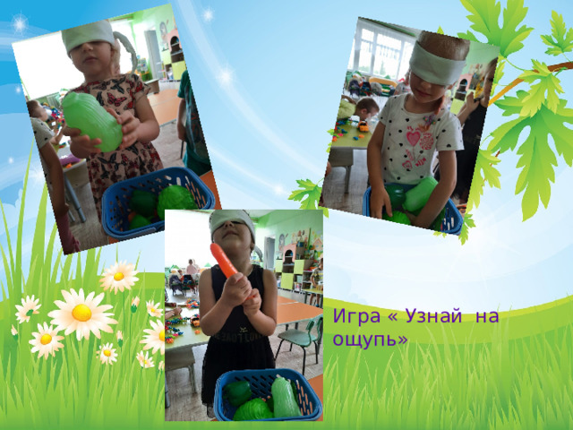 Игра « Узнай на ощупь» 