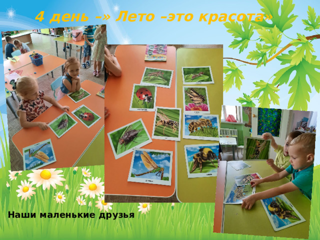 4 день –» Лето –это красота»  Наши маленькие друзья 