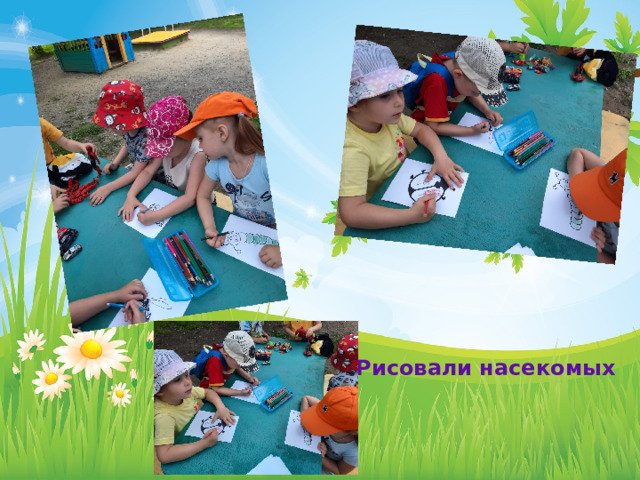 Рисовали насекомых 