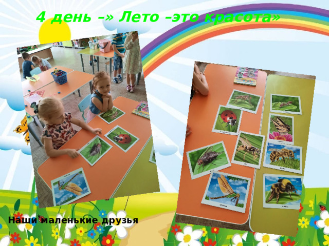 4 день –» Лето –это красота»  Наши маленькие друзья 