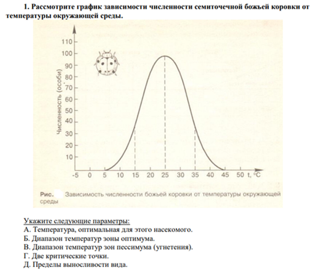 Открытый урок по теме: 