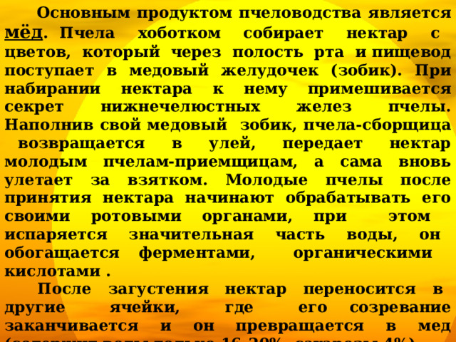  Основным продуктом пчеловодства является мёд . Пчела хоботком собирает нектар с цветов, который через полость рта и пищевод поступает в медовый желудочек (зобик). При набирании нектара к нему примешивается секрет нижнечелюстных желез пчелы. Наполнив свой медовый зобик, пчела-сборщица возвращается в улей, передает нектар молодым пчелам-приемщицам, а сама вновь улетает за взятком. Молодые пчелы после принятия нектара начинают обрабатывать его своими ротовыми органами, при этом испаряется значительная часть воды, он обогащается ферментами, органическими кислотами .  После загустения нектар переносится в другие ячейки, где его созревание заканчивается и он превращается в мед (содержит воды только 16-20%, сахарозы 4%).  Пчелиный воск - продукт восковых желез пчел. Чтобы выделять воск, эти насекомые должны употреблять цветочную пыльцу, пергу и мед. Из восковых пластинок пчелы строят соты.   