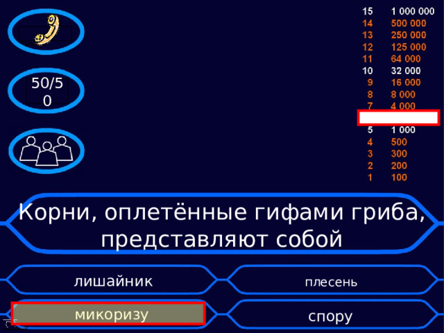50/50 Корни, оплетённые гифами гриба, представляют собой   лишайник    плесень микоризу спору  