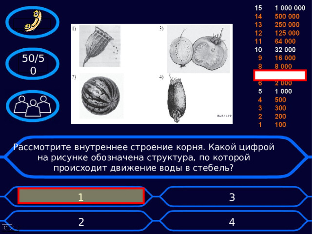 50/50 Рассмотрите внутреннее строение корня. Какой цифрой на рисунке обозначена структура, по которой происходит движение воды в стебель? 1 3 2 4 