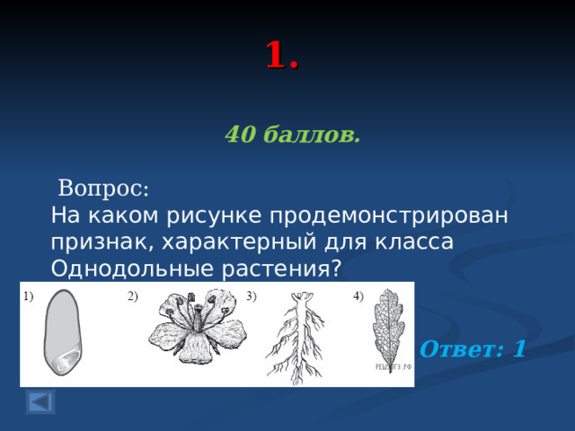 1. 40 баллов.   Вопрос: На каком рисунке продемонстрирован признак, характерный для класса Однодольные растения? Ответ: 1  