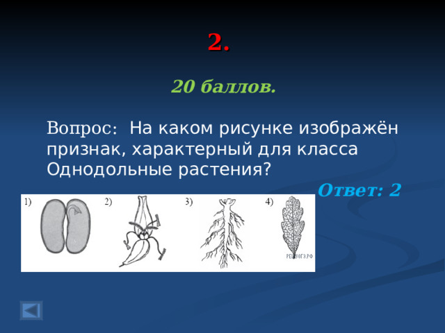 2. 20 баллов.  Вопрос:   На каком рисунке изображён признак, характерный для класса Однодольные растения?  Ответ: 2  