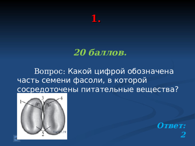  1.   20 баллов.   Вопрос: Какой цифрой обозначена часть семени фасоли, в которой сосредоточены питательные вещества?   Ответ: 2  