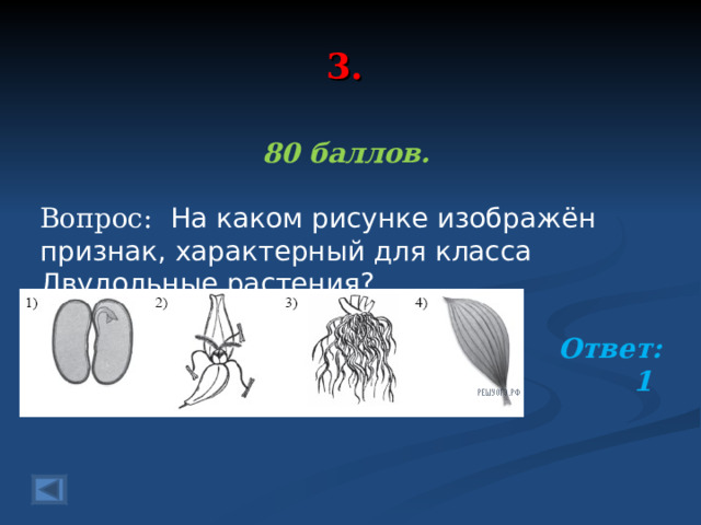 3. 80 баллов.  Вопрос:   На каком рисунке изображён признак, характерный для класса Двудольные растения?  Ответ: 1  