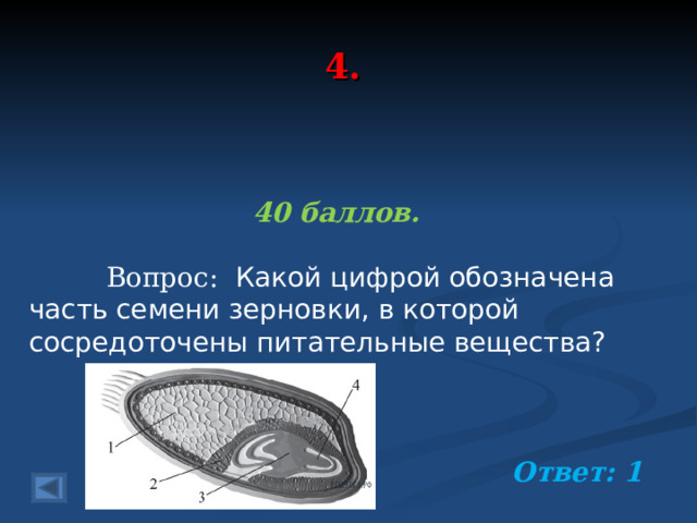 4. 40 баллов.   Вопрос: Какой цифрой обозначена часть семени зерновки, в которой сосредоточены питательные вещества? Ответ: 1 