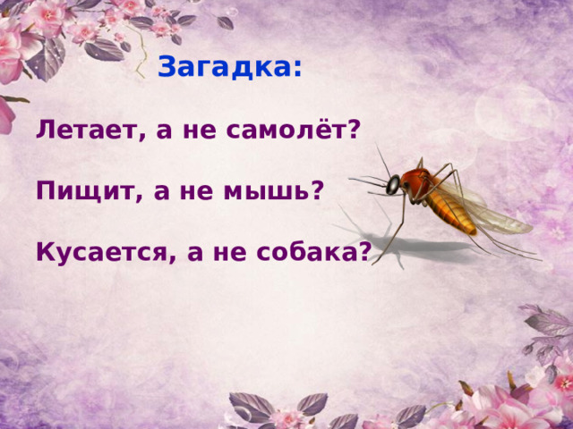 Загадка:  Летает, а не самолёт?  Пищит, а не мышь?  Кусается, а не собака?  