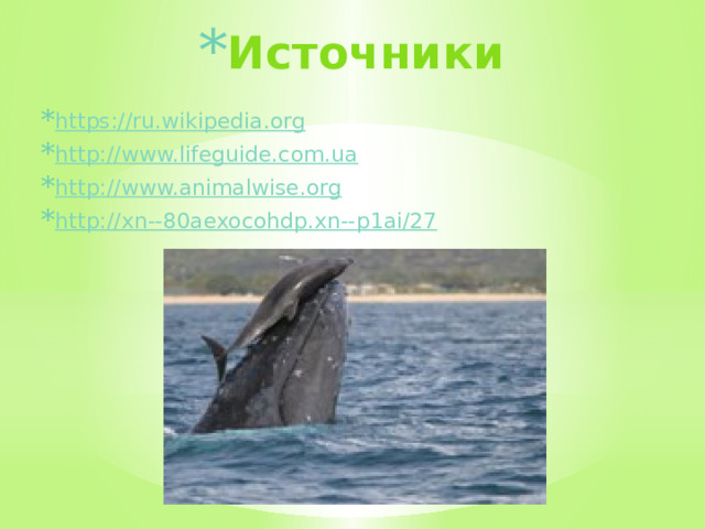 Источники https:// ru.wikipedia.org http:// www.lifeguide.com.ua http:// www.animalwise.org http://xn--80aexocohdp.xn-- p1ai/27  